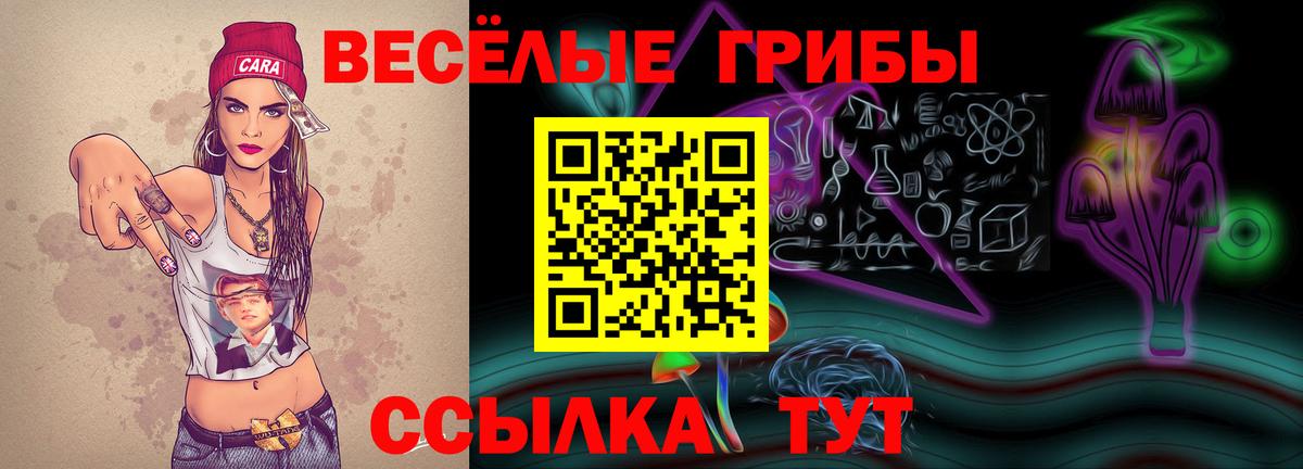 Псилоцибиновые грибы Magic Shrooms Заволжье